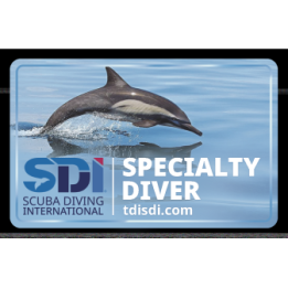 Pacote de 4 Especialidades - Advanced Program