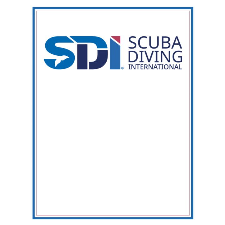 SDI Diploma de Parede