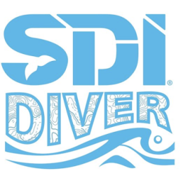Adesivo da Logo SDI