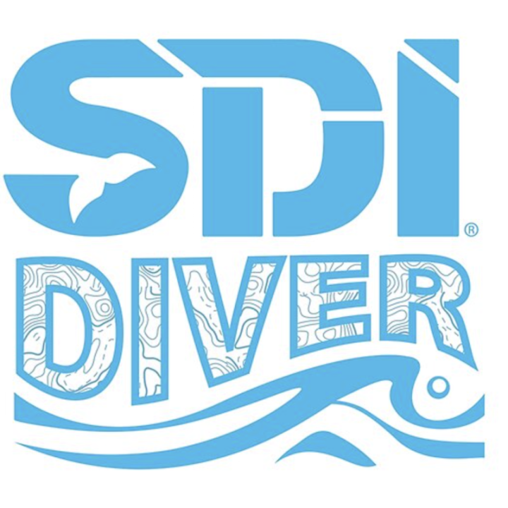 Adesivo da Logo SDI