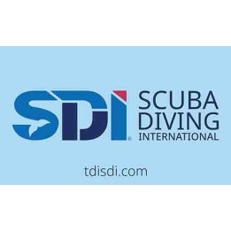 250020 Bandeira SDI