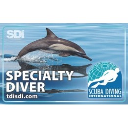 SDI Specialty Card Blank (para imprimir cert de especialidades))